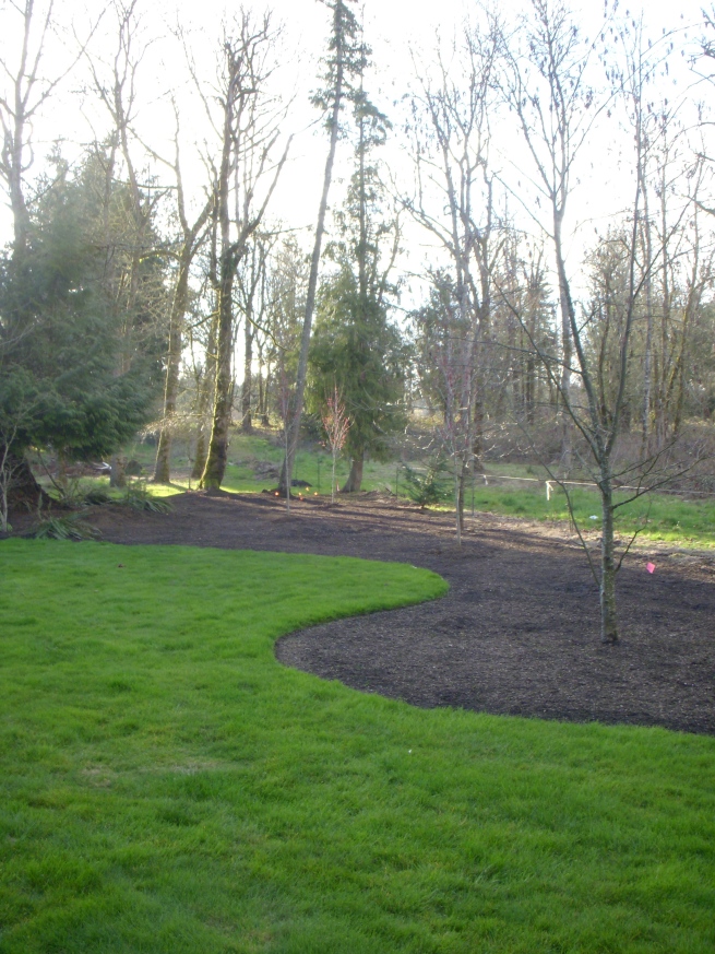 Back lawn planting bed and home of the end of the steeping stone path